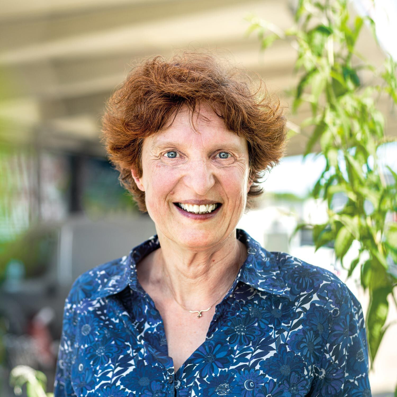 Dr. Petra Dieckmann