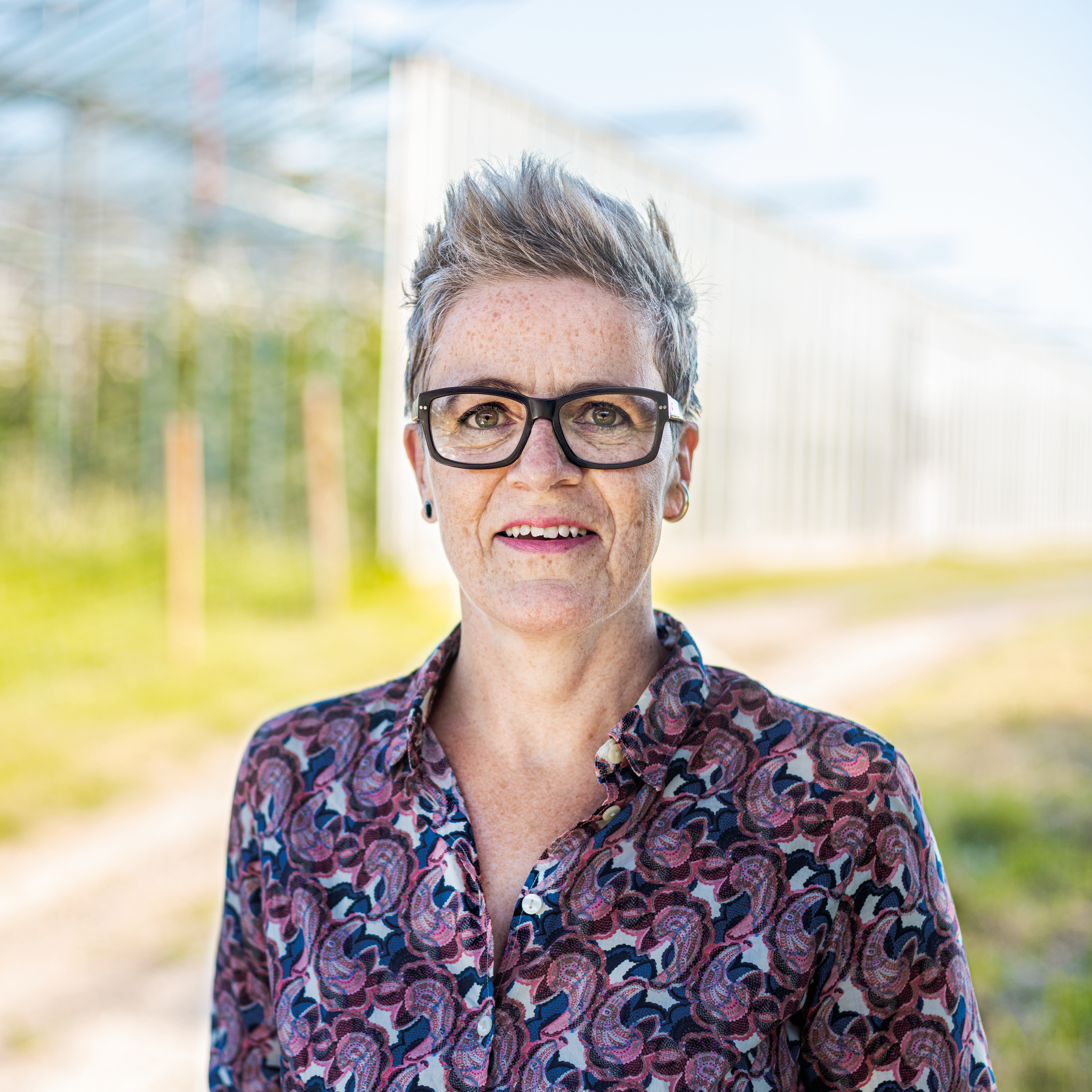 Grüne fordern schnelle Lösung für INDRO