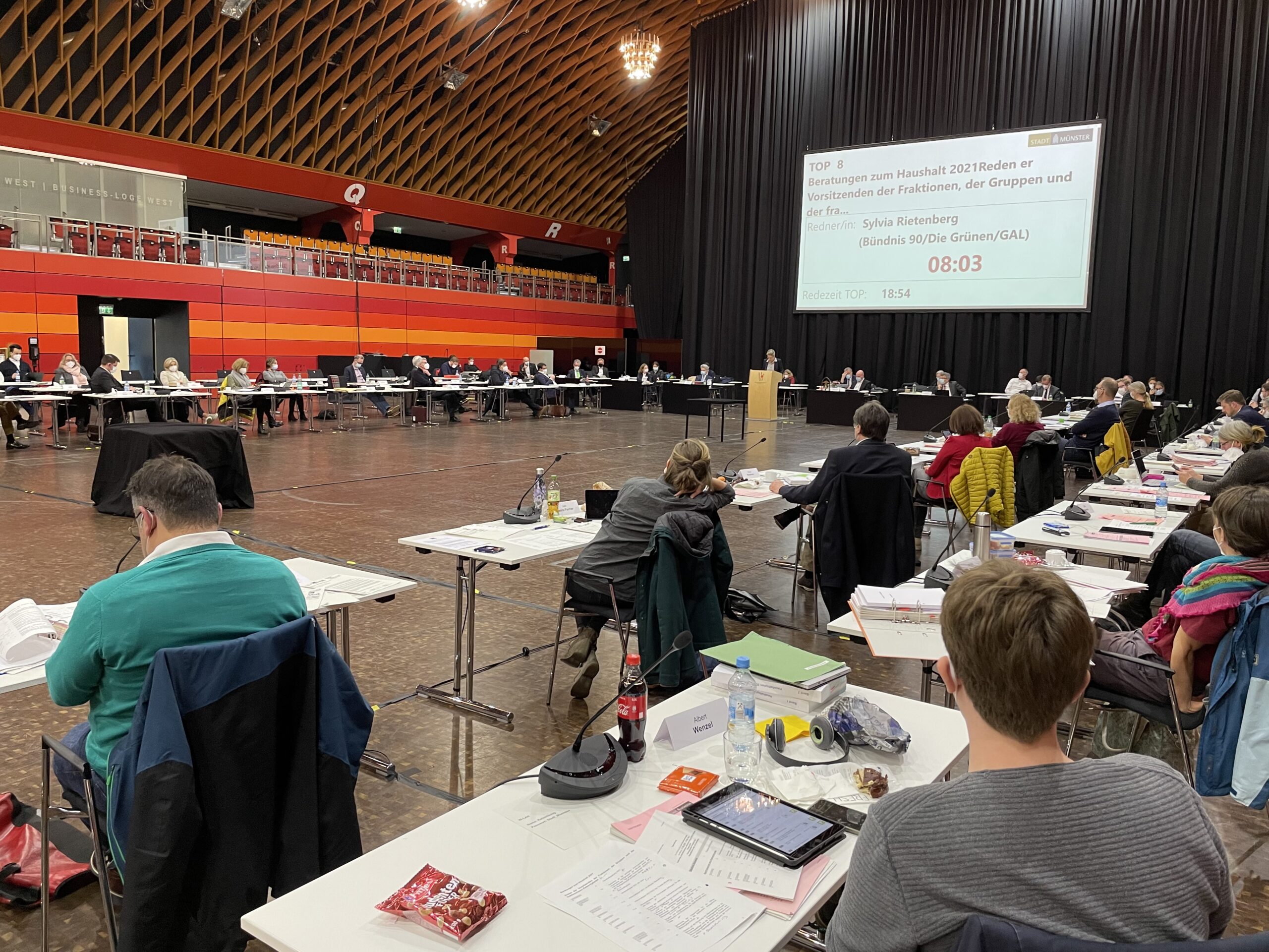 Baumschutzsatzung, Tempo 30 und mehr – GRÜNE Anträge aus dem jüngsten Rat