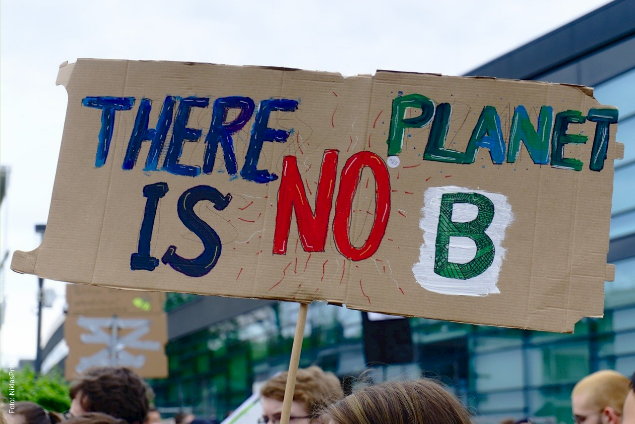 Glückwünsch an Umweltpreisträger Fridays for Future / Klein-Schmeink: „Wahlrecht ab 16!“