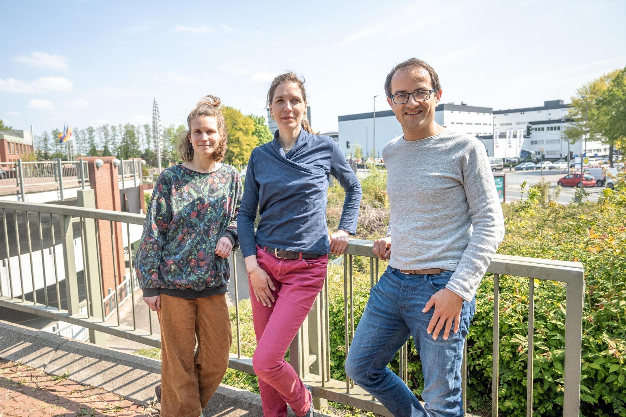 Mehr Schutz für Münsters Bäume – Baumschutzsatzung jetzt beschließen!