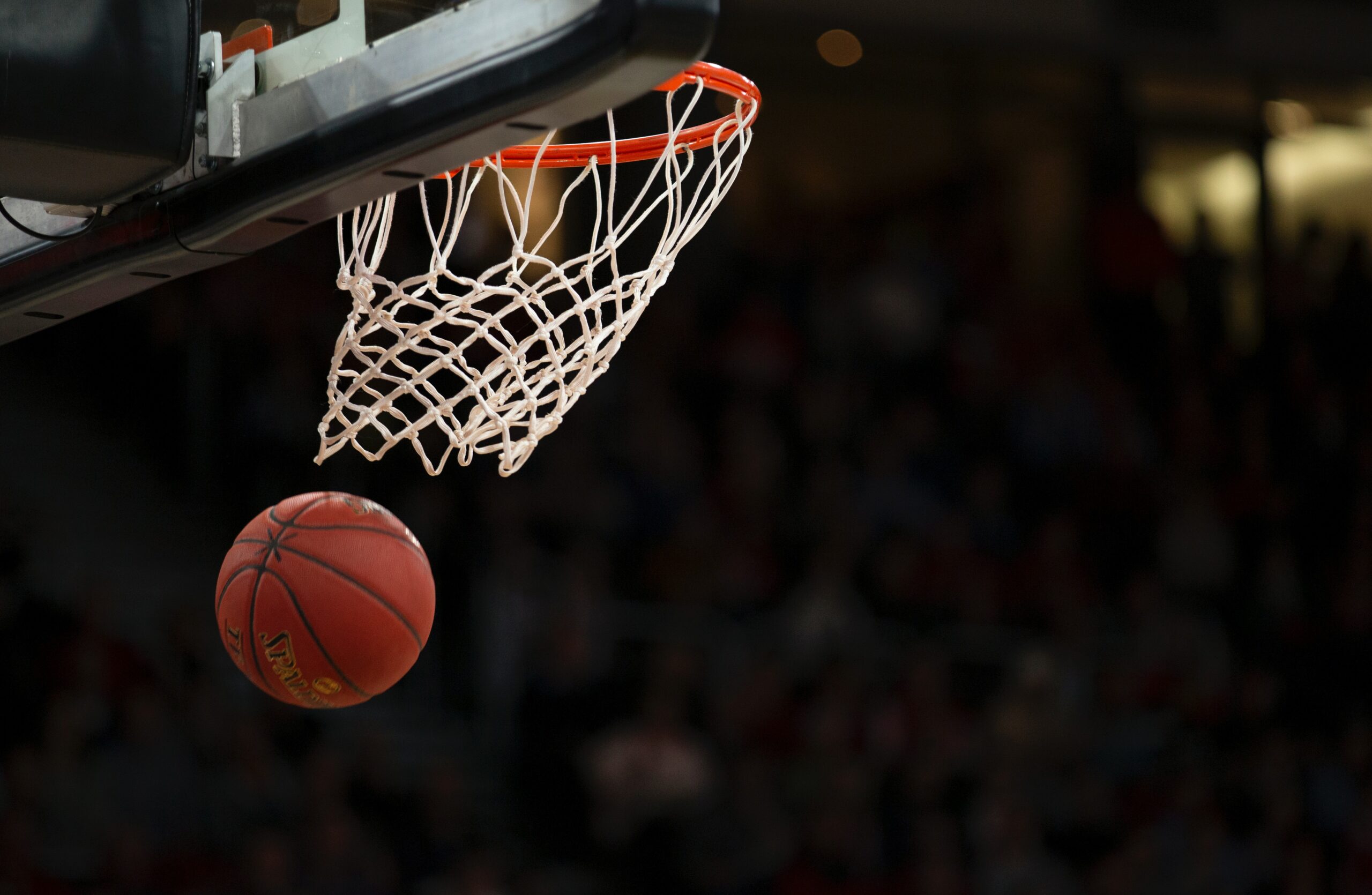 Münsters GRÜNE gratulieren den Baskets