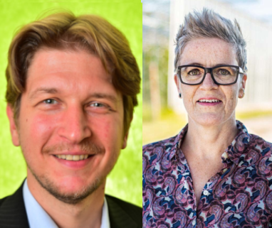 GRÜNE freuen sich über Kauf des Hauses Frauenstraße 24 durch die Stadt Münster