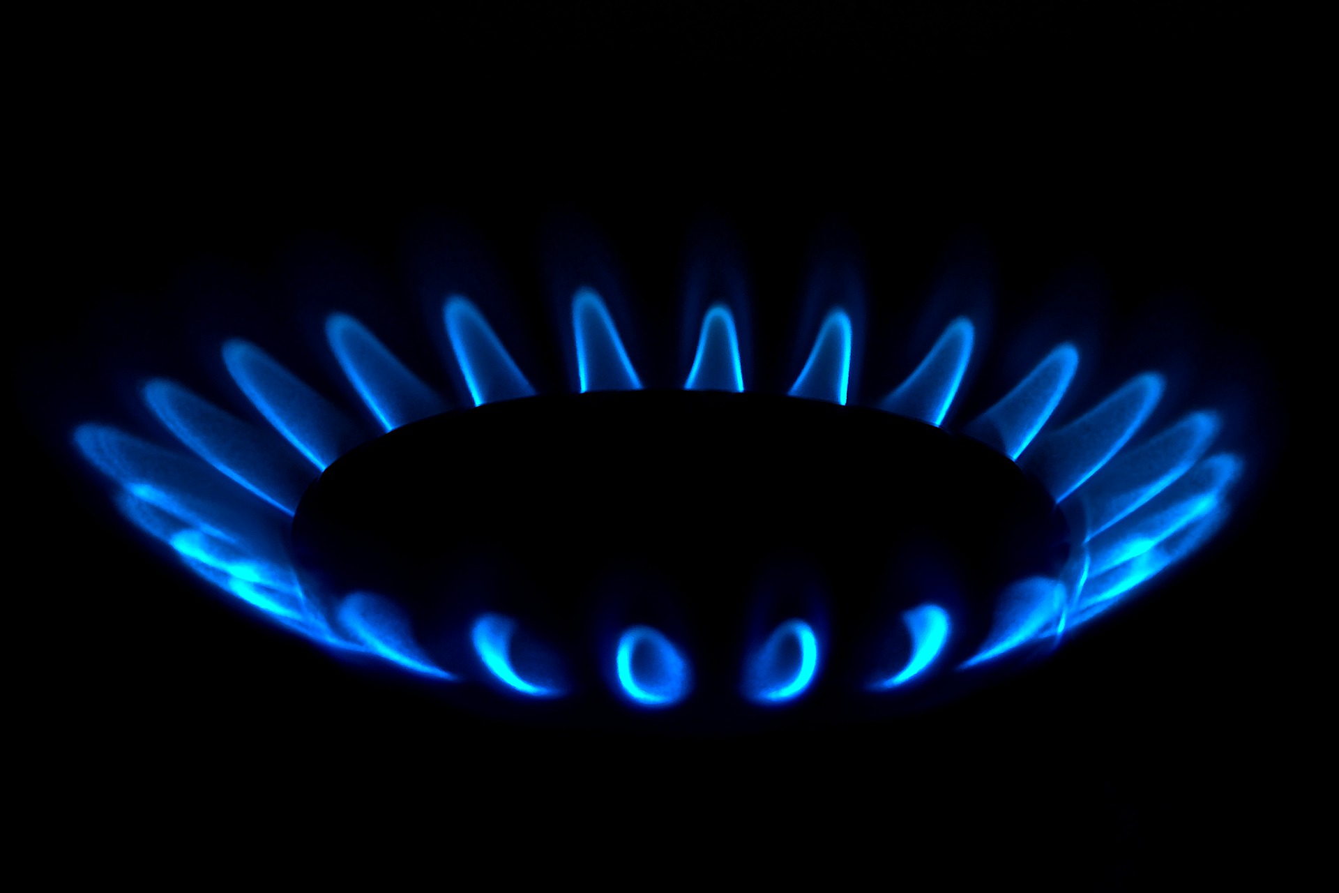 GRÜNE: Stadt Münster muss sofort Energie sparen