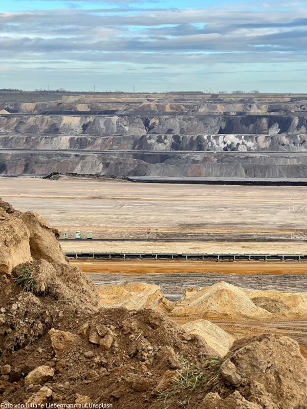 GRÜNE betonen Gemeinsamkeit mit der Klimaschutzbewegung