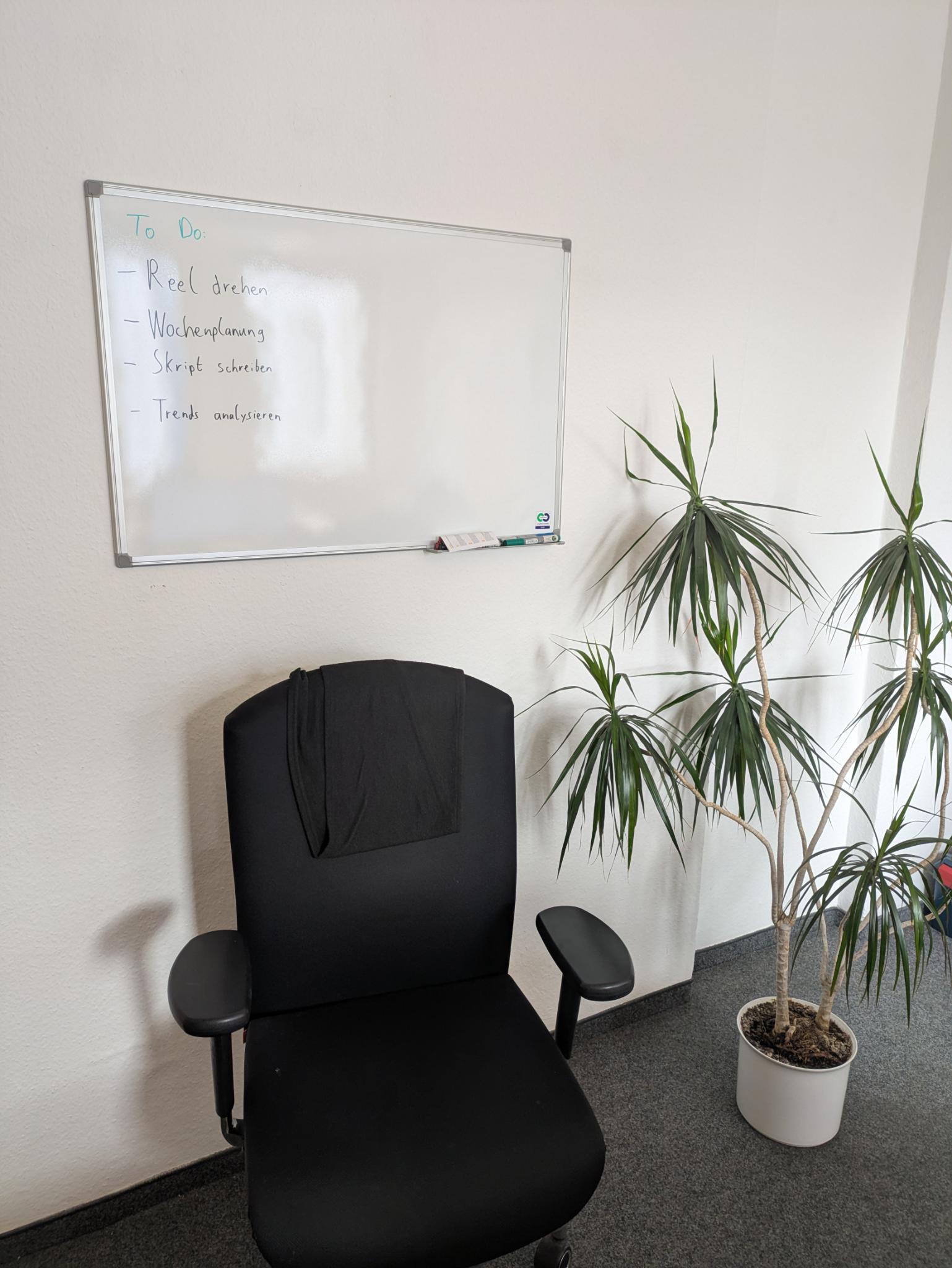 Eine Pflanze, ein Stuhl und ein Whiteboard mit Text vor einer weißen Wand.